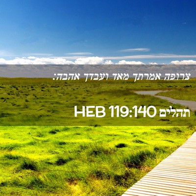 Picture 02 - תהלים 119:140 HEB - צרופה אמרתך מאד ועבדך - Bible Verse Picture