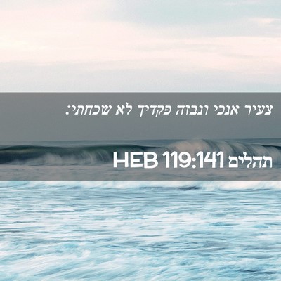 Picture 02 - תהלים 119:141 HEB - צעיר אנכי ונבזה פקדיך לא - Bible Verse Picture