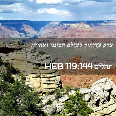 Picture 02 - תהלים 119:144 HEB - צדק עדותיך לעולם הבינני - Bible Verse Picture