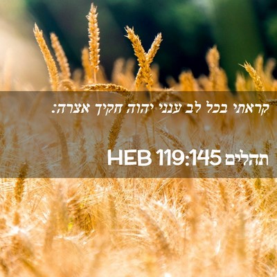 Picture 02 - תהלים 119:145 HEB - קראתי בכל לב ענני יהוה חקיך - Bible Verse Picture