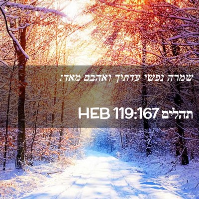 Picture 02 - תהלים 119:167 HEB - שמרה נפשי עדתיך ואהבם - Bible Verse Picture