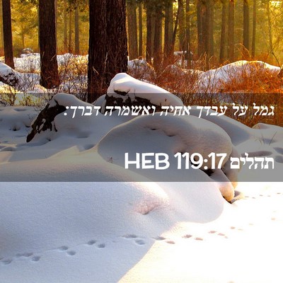 Picture 02 - תהלים 119:17 HEB - גמל על עבדך אחיה ואשמרה - Bible Verse Picture