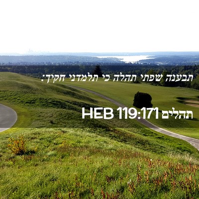 Picture 02 - תהלים 119:171 HEB - תבענה שפתי תהלה כי תלמדני - Bible Verse Picture