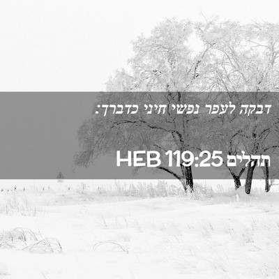 Picture 02 - תהלים 119:25 HEB - דבקה לעפר נפשי חיני - Bible Verse Picture