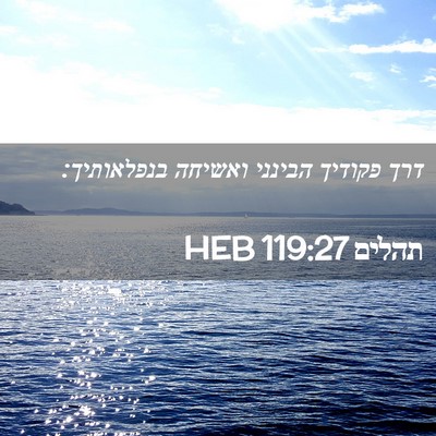 Picture 02 - תהלים 119:27 HEB - דרך פקודיך הבינני ואשיחה - Bible Verse Picture
