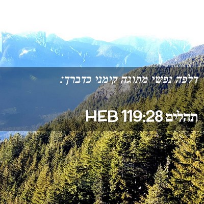 Picture 02 - תהלים 119:28 HEB - דלפה נפשי מתוגה קימני - Bible Verse Picture