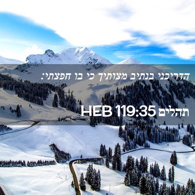 Picture 02 - תהלים 119:35 HEB - הדריכני בנתיב מצותיך כי בו - Bible Verse Picture