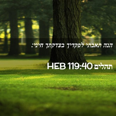 Picture 02 - תהלים 119:40 HEB - הנה תאבתי לפקדיך בצדקתך - Bible Verse Picture