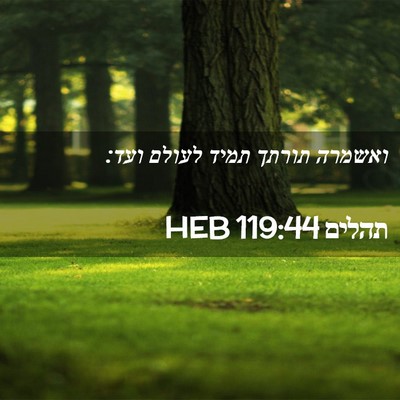 Picture 02 - תהלים 119:44 HEB - ואשמרה תורתך תמיד לעולם - Bible Verse Picture