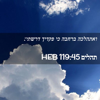 Picture 02 - תהלים 119:45 HEB - ואתהלכה ברחבה כי פקדיך - Bible Verse Picture