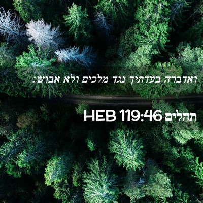Picture 02 - תהלים 119:46 HEB - ואדברה בעדתיך נגד מלכים - Bible Verse Picture