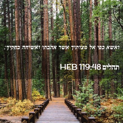 Picture 02 - תהלים 119:48 HEB - ואשא כפי אל מצותיך אשר - Bible Verse Picture