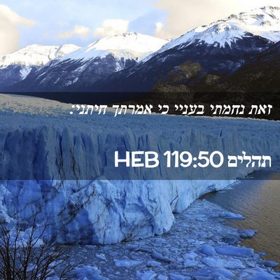 Picture 02 - תהלים 119:50 HEB - זאת נחמתי בעניי כי אמרתך - Bible Verse Picture