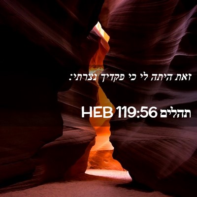 Picture 02 - תהלים 119:56 HEB - זאת היתה לי כי פקדיך - Bible Verse Picture