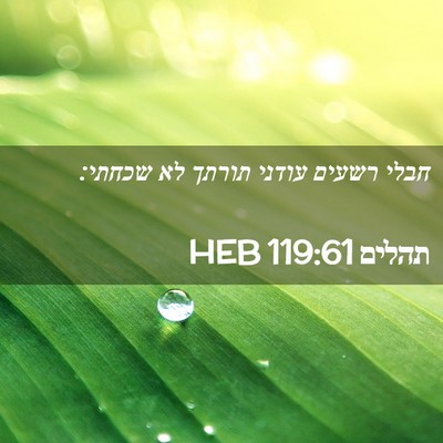 Picture 02 - תהלים 119:61 HEB - חבלי רשעים עודני תורתך לא - Bible Verse Picture