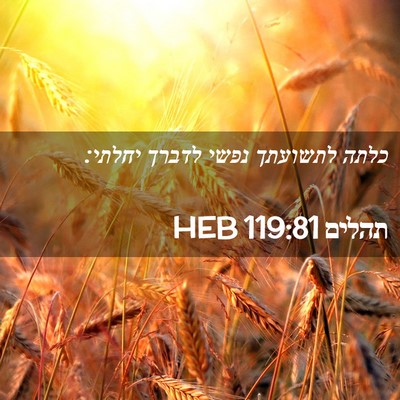 Picture 02 - תהלים 119:81 HEB - כלתה לתשועתך נפשי לדברך - Bible Verse Picture