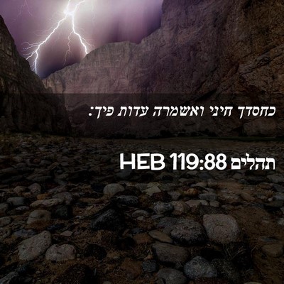 Picture 02 - תהלים 119:88 HEB - כחסדך חיני ואשמרה עדות - Bible Verse Picture
