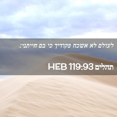 Picture 02 - תהלים 119:93 HEB - לעולם לא אשכח פקודיך כי בם - Bible Verse Picture