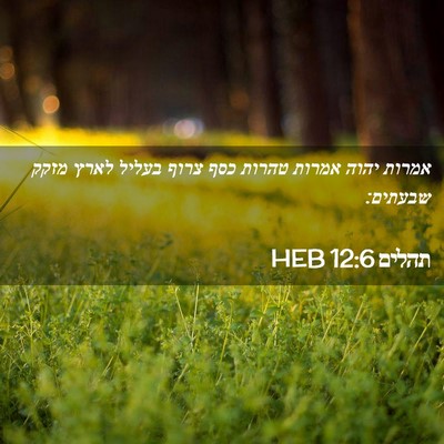 Picture 02 - תהלים 12:6 HEB - אמרות יהוה אמרות טהרות כסף - Bible Verse Picture