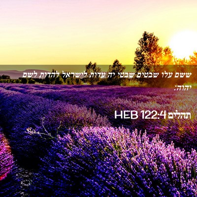 Picture 02 - תהלים 122:4 HEB - ששם עלו שבטים שבטי יה עדות - Bible Verse Picture