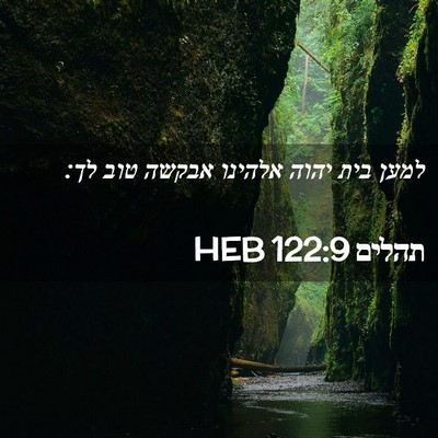 Picture 02 - תהלים 122:9 HEB - למען בית יהוה אלהינו אבקשה - Bible Verse Picture