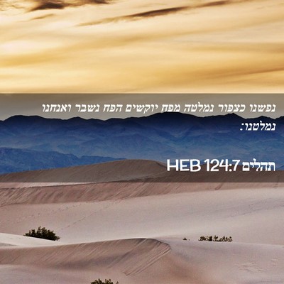 Picture 02 - תהלים 124:7 HEB - נפשנו כצפור נמלטה מפח - Bible Verse Picture