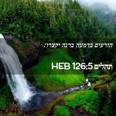 Picture 02 - תהלים 126:5 HEB - הזרעים בדמעה ברנה - Bible Verse Picture