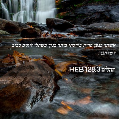 Picture 02 - תהלים 128:3 HEB - אשתך כגפן פריה בירכתי ביתך - Bible Verse Picture