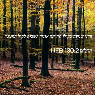 Picture 02 - תהלים 130:2 HEB - אדני שמעה בקולי תהיינה - Bible Verse Picture