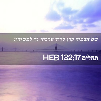 Picture 02 - תהלים 132:17 HEB - שם אצמיח קרן לדוד ערכתי נר - Bible Verse Picture
