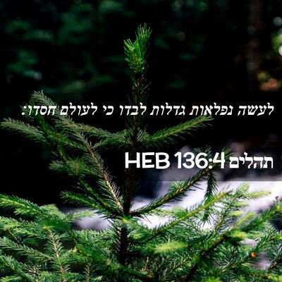 Picture 02 - תהלים 136:4 HEB - לעשה נפלאות גדלות לבדו כי - Bible Verse Picture