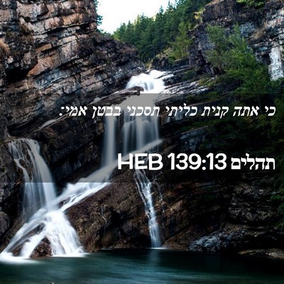 Picture 02 - תהלים 139:13 HEB - כי אתה קנית כליתי תסכני - Bible Verse Picture