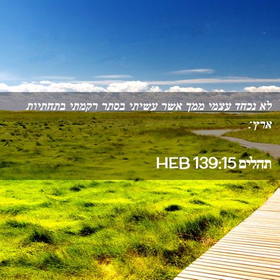 Picture 02 - תהלים 139:15 HEB - לא נכחד עצמי ממך אשר עשיתי - Bible Verse Picture