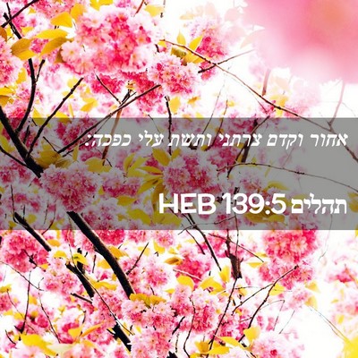 Picture 02 - תהלים 139:5 HEB - אחור וקדם צרתני ותשת עלי - Bible Verse Picture