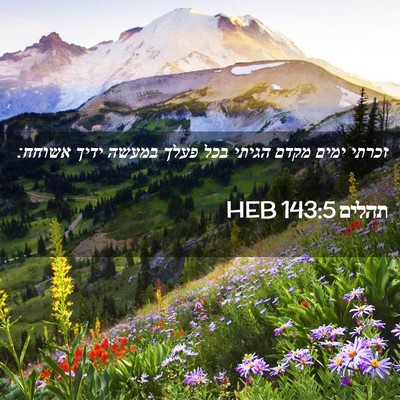 Picture 02 - תהלים 143:5 HEB - זכרתי ימים מקדם הגיתי בכל - Bible Verse Picture