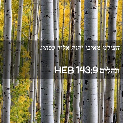 Picture 02 - תהלים 143:9 HEB - הצילני מאיבי יהוה אליך - Bible Verse Picture