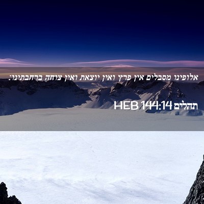 Picture 02 - תהלים 144:14 HEB - אלופינו מסבלים אין פרץ - Bible Verse Picture