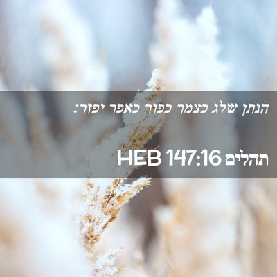 Picture 02 - תהלים 147:16 HEB - הנתן שלג כצמר כפור כאפר - Bible Verse Picture