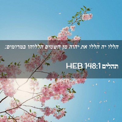 Picture 02 - תהלים 148:1 HEB - הללו יה הללו את יהוה מן - Bible Verse Picture