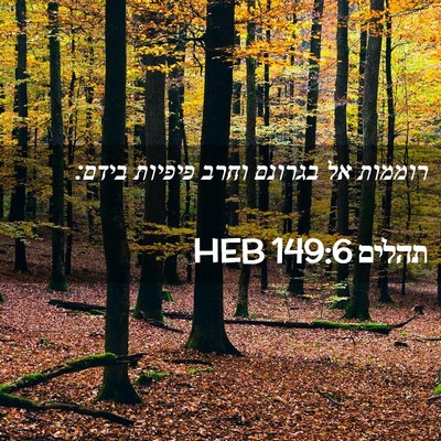Picture 02 - תהלים 149:6 HEB - רוממות אל בגרונם וחרב - Bible Verse Picture