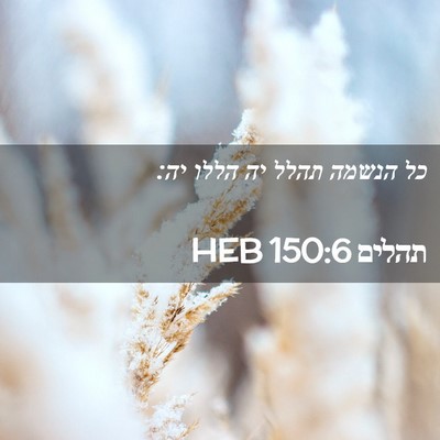 Picture 02 - תהלים 150:6 HEB - כל הנשמה תהלל יה הללו - Bible Verse Picture
