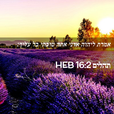 Picture 02 - תהלים 16:2 HEB - אמרת ליהוה אדני אתה טובתי - Bible Verse Picture