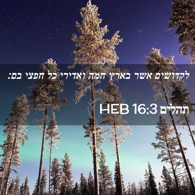 Picture 02 - תהלים 16:3 HEB - לקדושים אשר בארץ המה - Bible Verse Picture