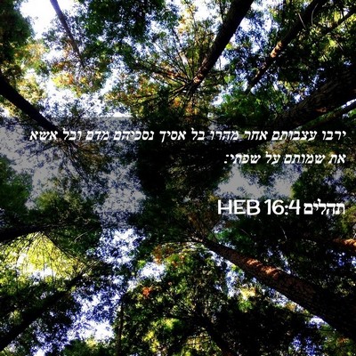 Picture 02 - תהלים 16:4 HEB - ירבו עצבותם אחר מהרו בל - Bible Verse Picture