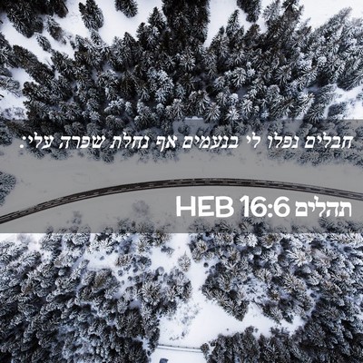 Picture 02 - תהלים 16:6 HEB - חבלים נפלו לי בנעמים אף - Bible Verse Picture