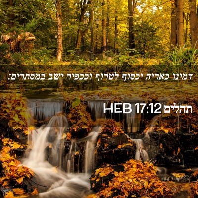 Picture 02 - תהלים 17:12 HEB - דמינו כאריה יכסוף לטרוף - Bible Verse Picture