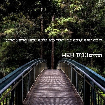 Picture 02 - תהלים 17:13 HEB - קומה יהוה קדמה פניו - Bible Verse Picture