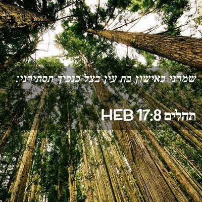 Picture 02 - תהלים 17:8 HEB - שמרני כאישון בת עין בצל - Bible Verse Picture