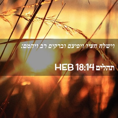 Picture 02 - תהלים 18:14 HEB - וישלח חציו ויפיצם וברקים - Bible Verse Picture