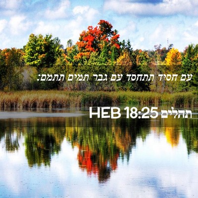 Picture 02 - תהלים 18:25 HEB - עם חסיד תתחסד עם גבר תמים - Bible Verse Picture